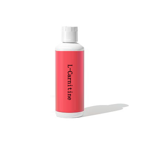 l carnitine kalori iSatori Liquid L-Carnitine LS3 3000