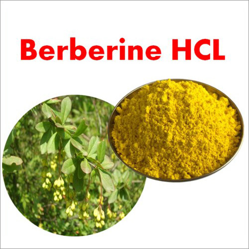 Berberine-Hydrochloride
