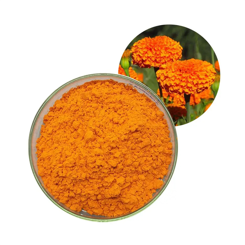 China Lutein – For Eye Health Nutrition Supplement Marigold Flower Extract  20% Factory and Supplier | Huanwei